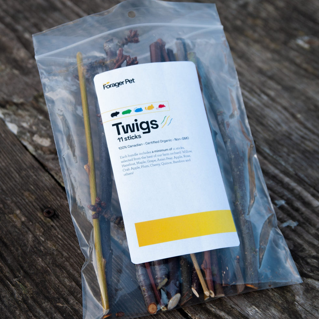 Tasty Twigs Packaging