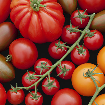 Tomato Mix