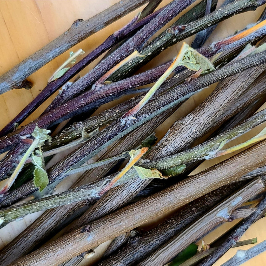 Tasty Twigs