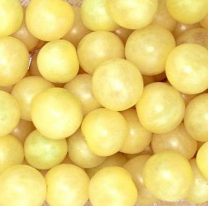 White Cherry Tomato