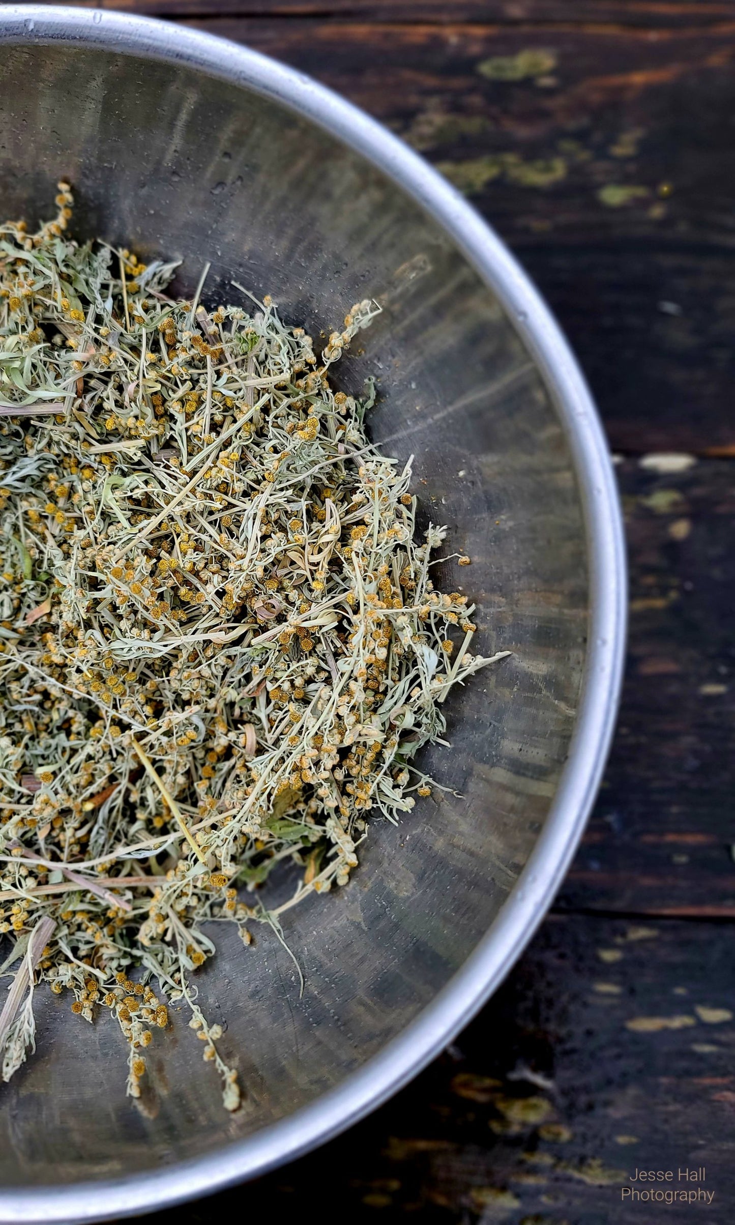 Dried Wormwood