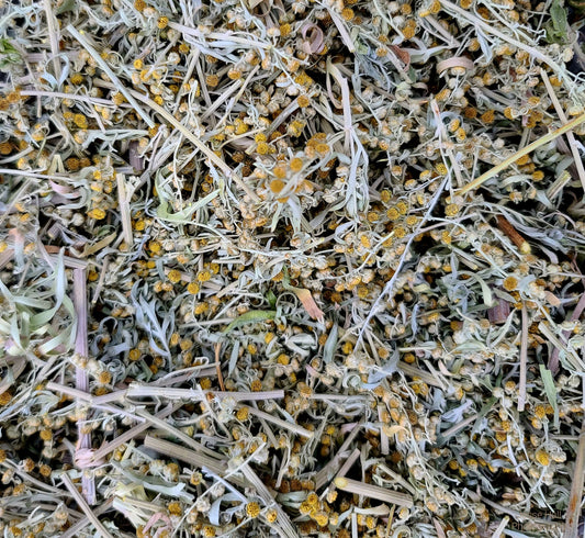 Dried Wormwood