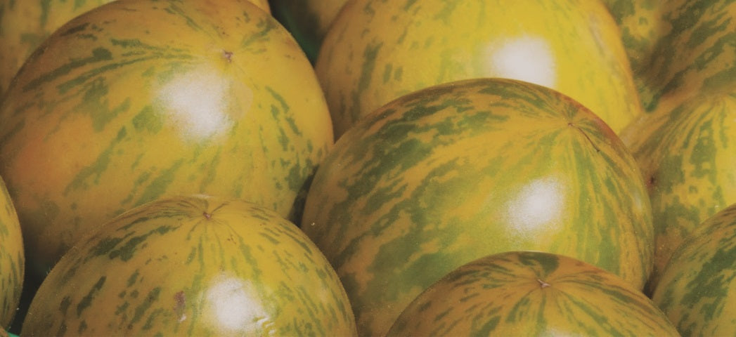 Yellow Zebra Tomato