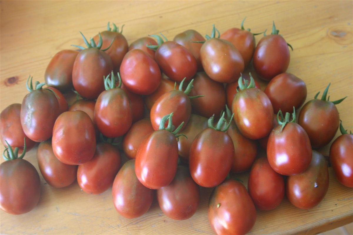 Black Plum Tomato