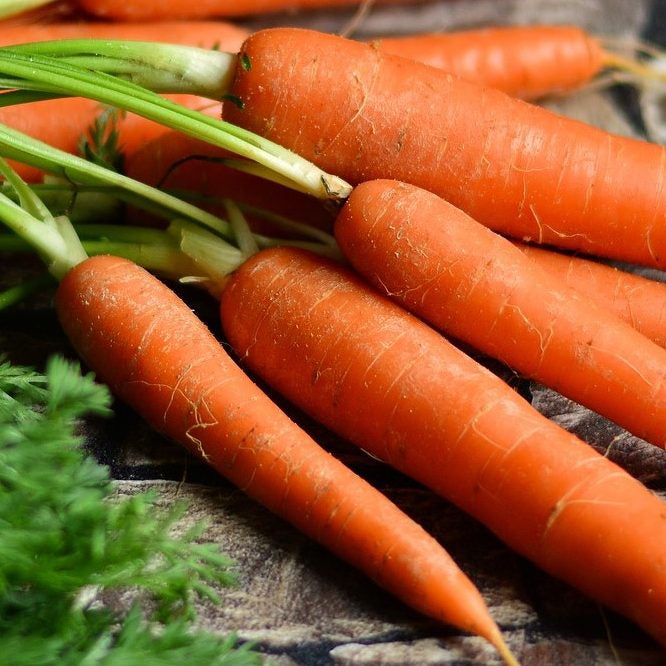 Carrots