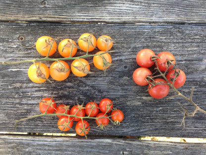 Cherry Tomato Mix