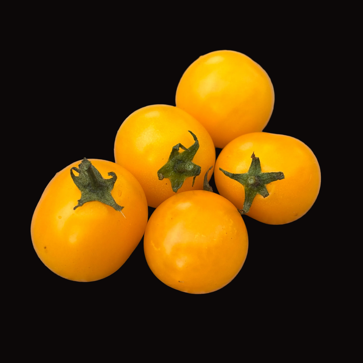 Tomate pépite d'or