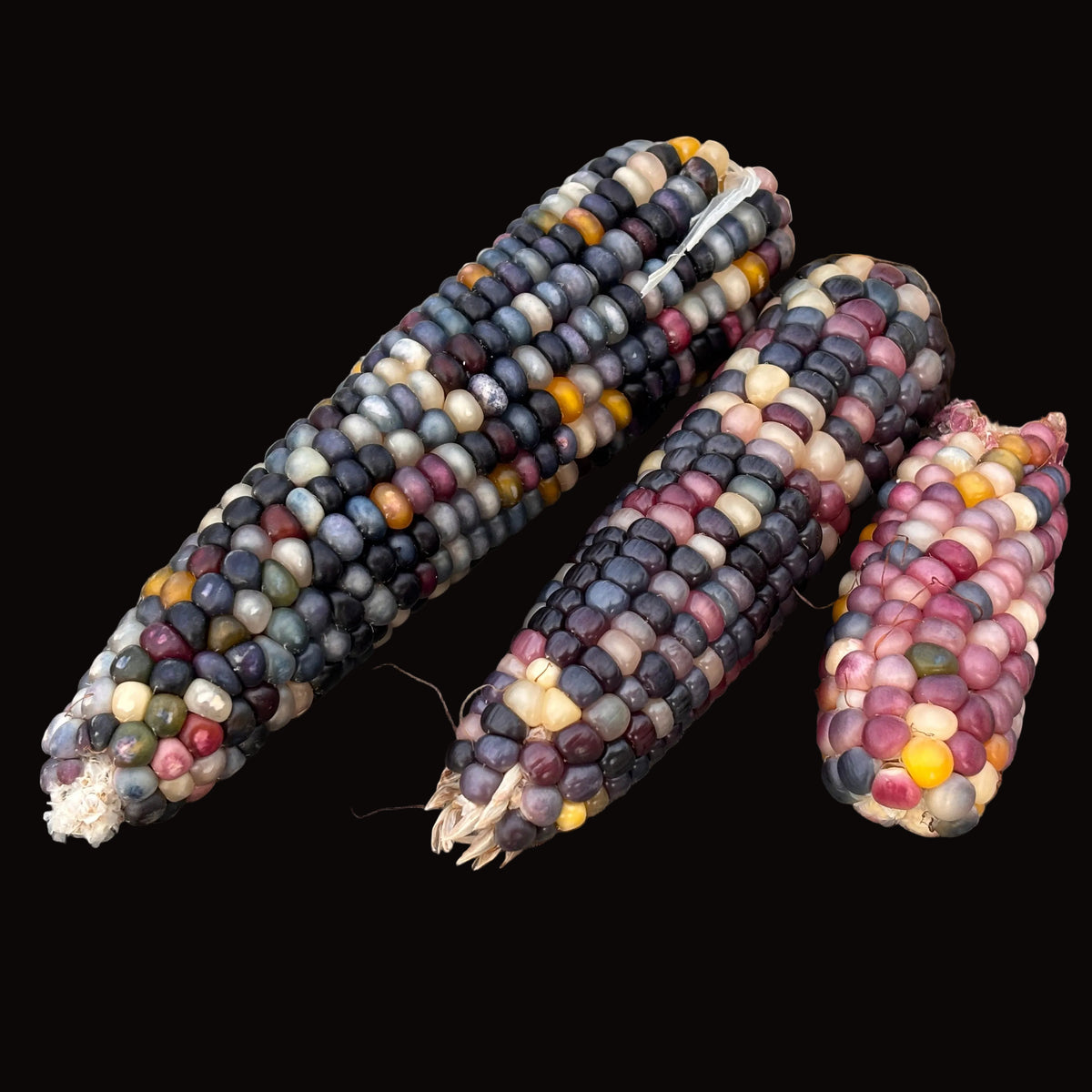 Mélange de mini-pop-corn