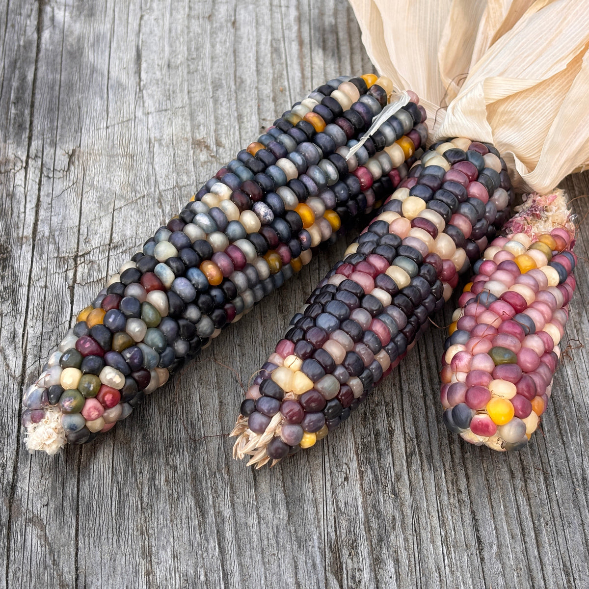 Mélange de mini-pop-corn