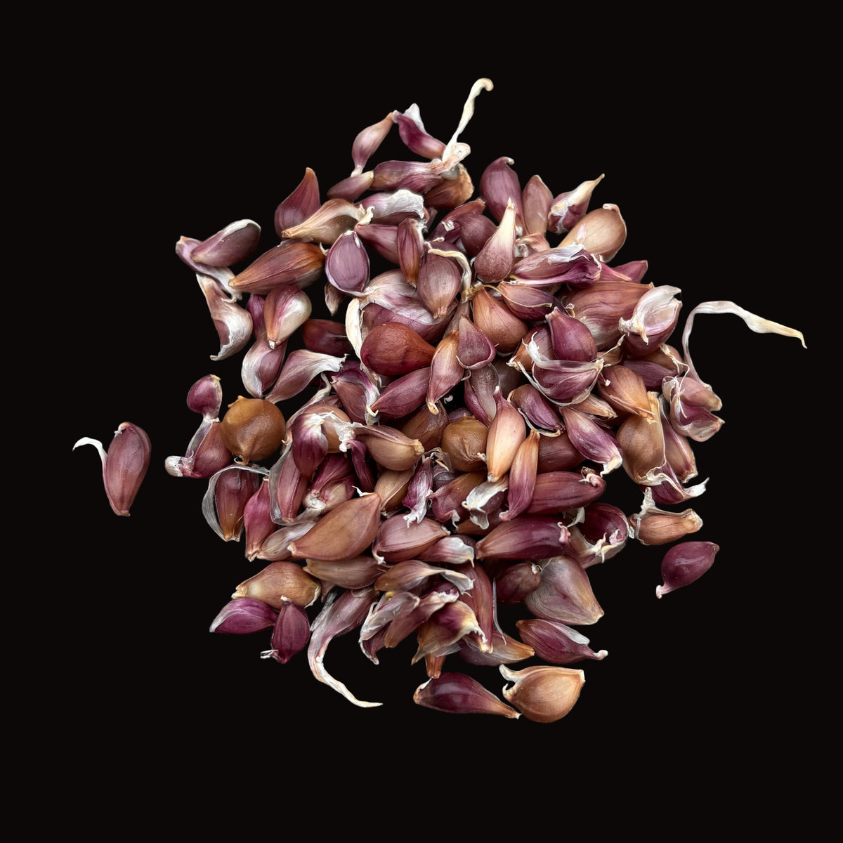 Bulbilles d'ail mélangées