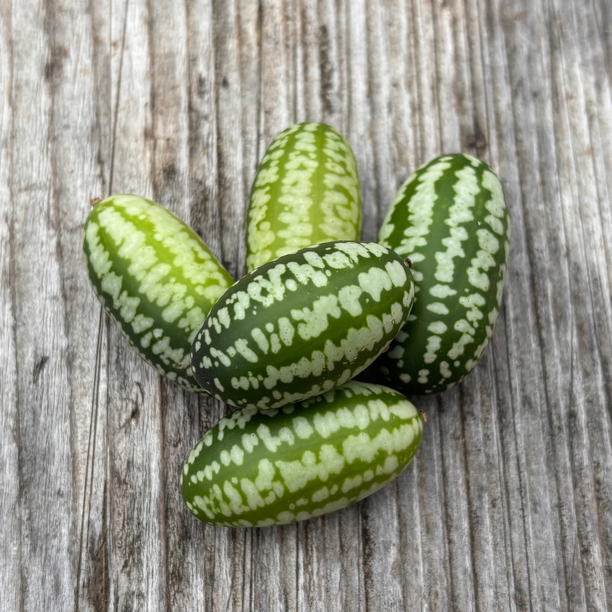 Souris Melon Concombre