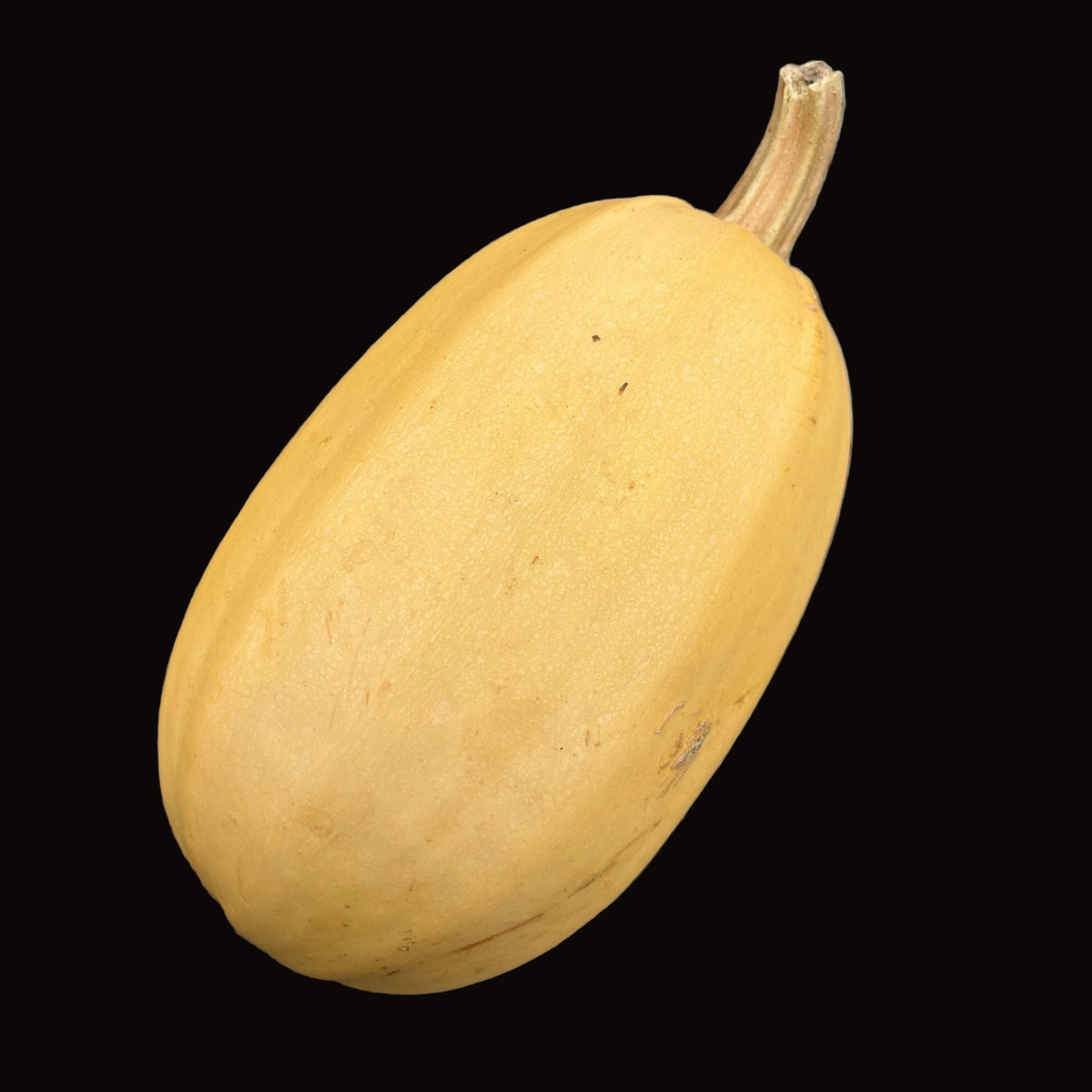 Courge spaghetti
