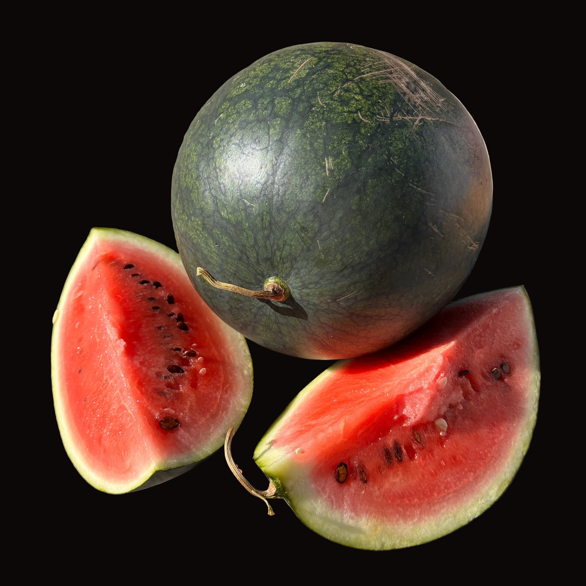 Sugar Baby Watermelon