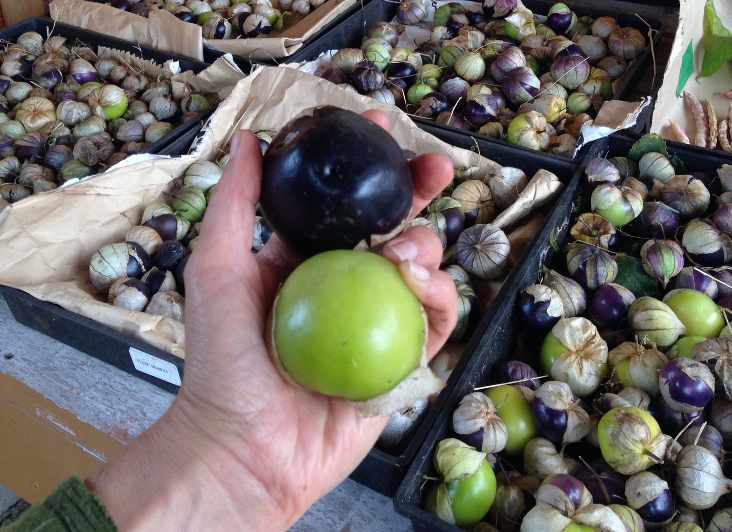 Tomatillo Mix