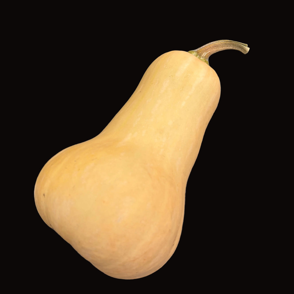 Courge musquée Waltham